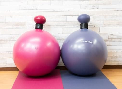 バランスボール ビーバルーン Bee Balloon(メーカー希望小売価格)