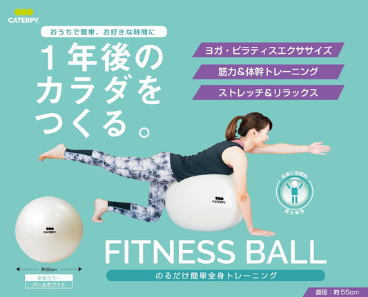 フィットネスボール55㎝