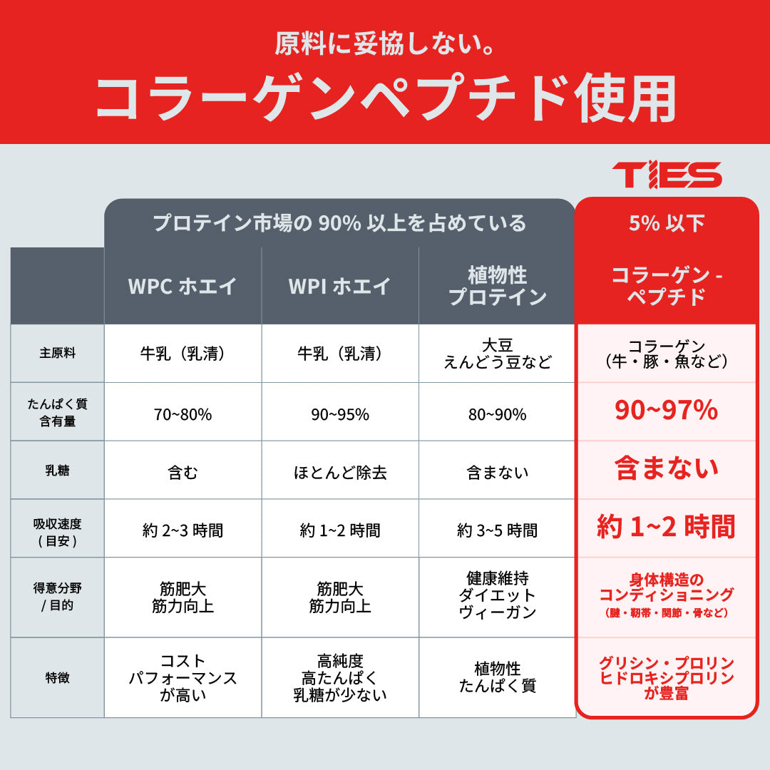 TIES ENDURE 450g プロテイン