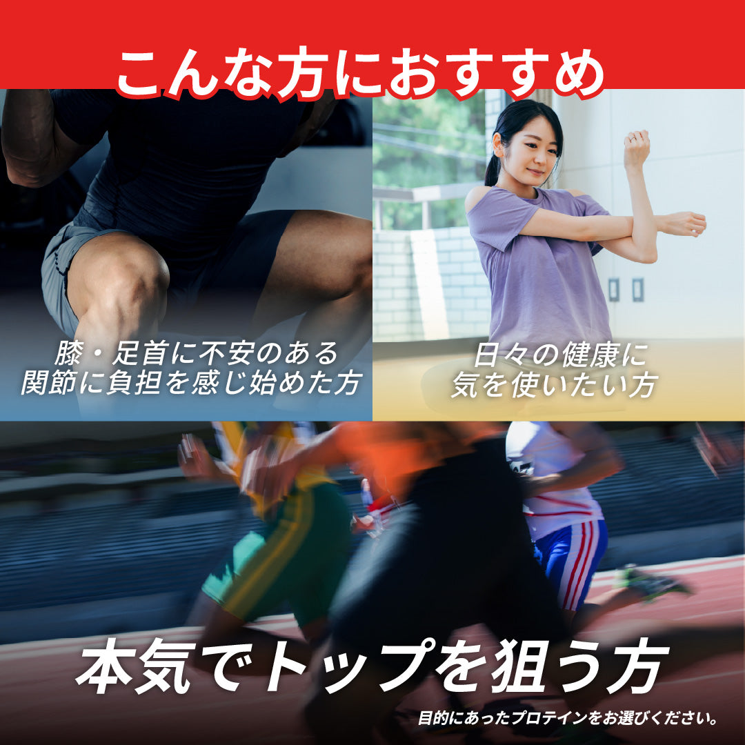 TIES ENDURE 450g プロテイン