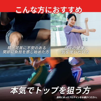 TIES ENDURE 450g プロテイン
