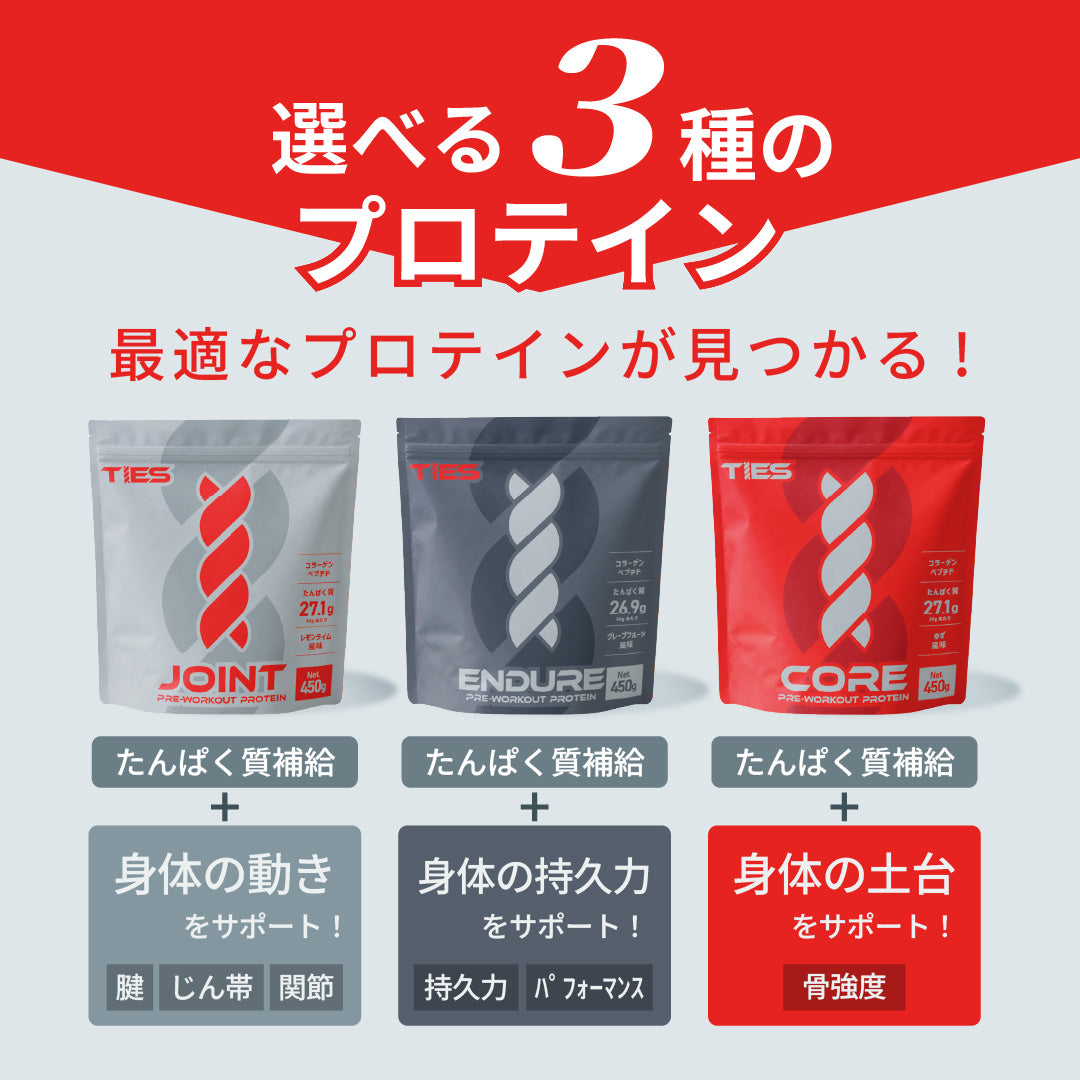 TIES ENDURE 450g プロテイン