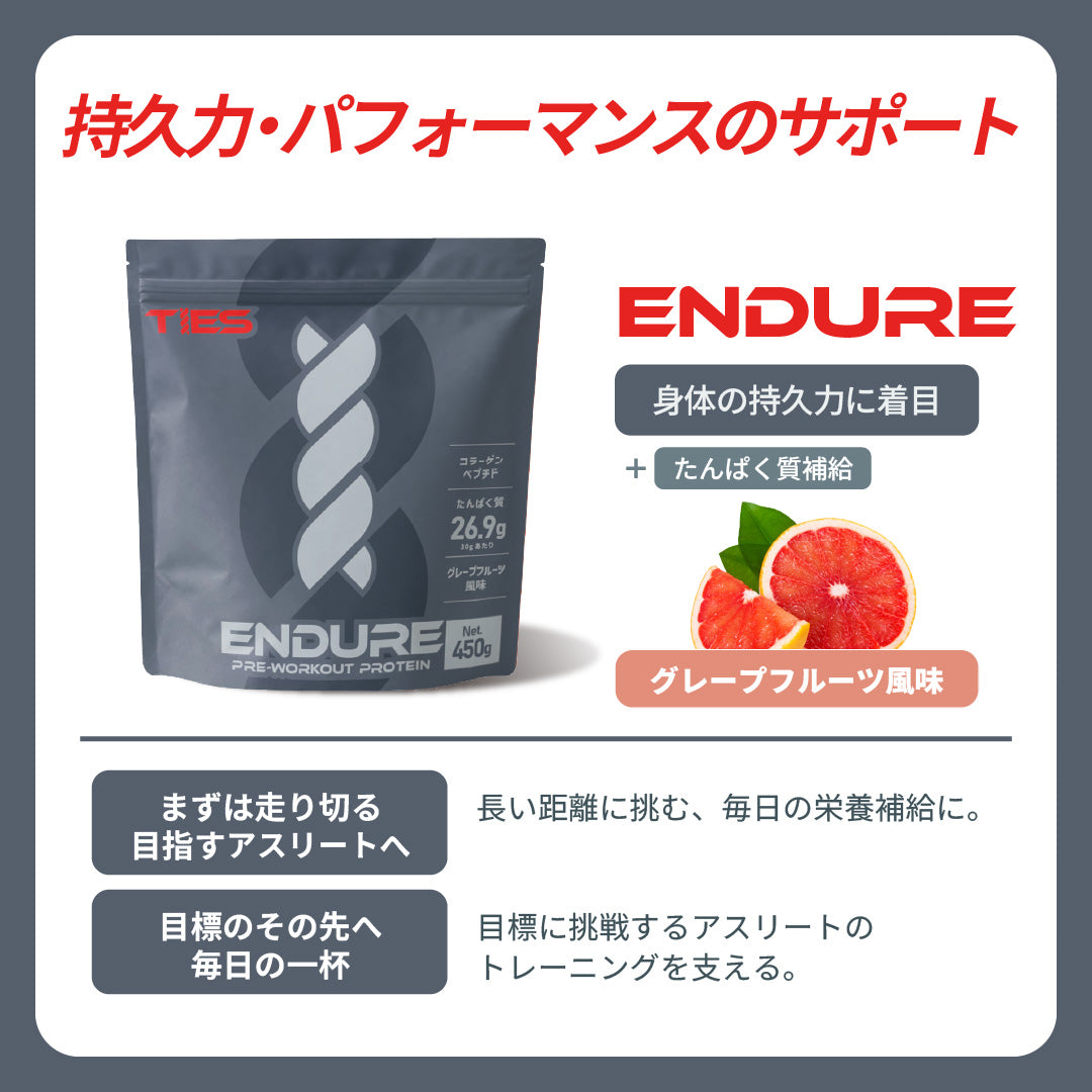 TIES ENDURE 450g プロテイン