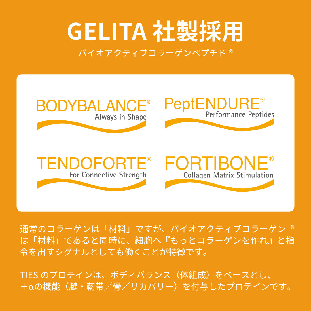 TIES ENDURE 450g プロテイン
