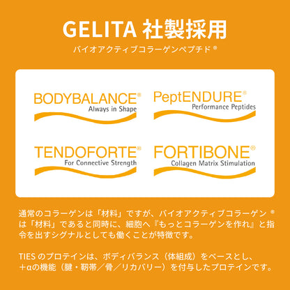 TIES ENDURE 450g プロテイン