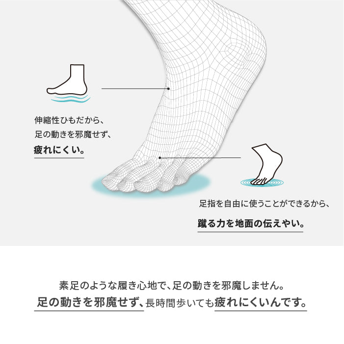 結ばない靴紐 AIR CATERPY エアーキャタピー