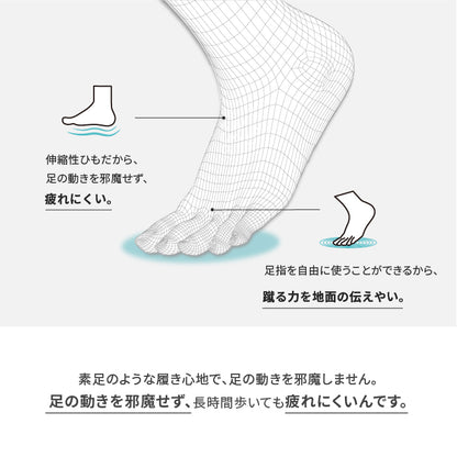 結ばない靴紐 AIR CATERPY エアーキャタピー