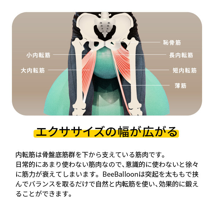 バランスボール ビーバルーン Bee Balloon 55cm