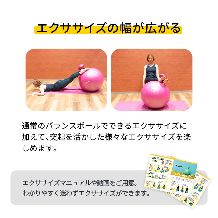 バランスボール ビーバルーン Bee Balloon 65cm