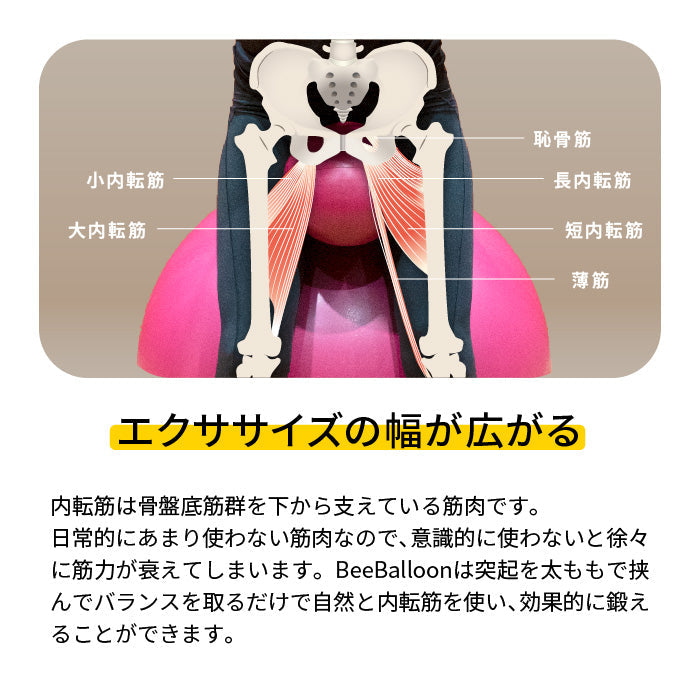 バランスボール ビーバルーン Bee Balloon 65cm