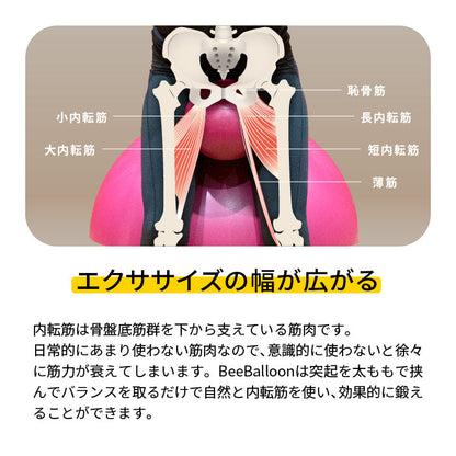 バランスボール ビーバルーン Bee Balloon 65cm
