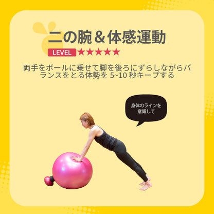 バランスボール ビーバルーン Bee Balloon 65cm