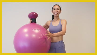 バランスボール ビーバルーン Bee Balloon 65cm